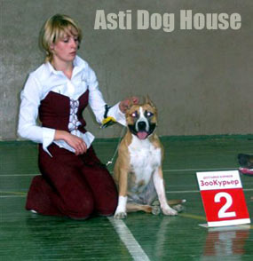 Native Lady for Asti Dog House